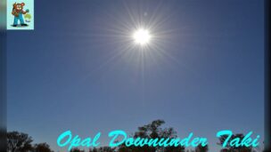 青空に輝くオーストラリアの力強い太陽と、木々のシルエット